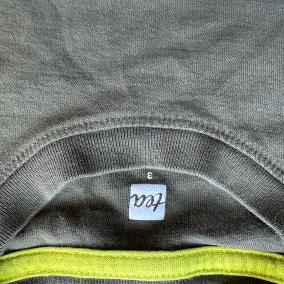 Tea Collection & Zara Toddler Boy Outfit 3T Olive Iguana Tshirt Orange Shorts - Picture 8 of 9